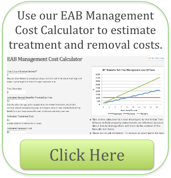 EAB Calculator Icon